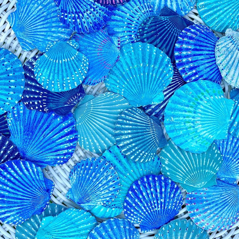 sweep_of_sand's tweet photo. Seashell ornaments going fast! #christmas #shellornaments https://t.co/Vt7gCg7y65 https://t.co/AFGA4KTn1I