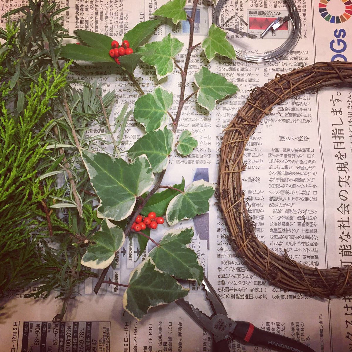 アオノミサコ Auf Twitter 今日は寒くて久々に予定も入っていなかったので かねてからやろうと思っていたクリスマスリース作りを 材料は全て庭の木 ゴールドクレストをベースに ローズマリー ラベンダー アイビーにセンリョウを使いました 材料費は100均で調達 アオノミサコ Auf Twitter 今日は寒くて久々に予定も入っていなかったので かねてからやろうと思っていたクリスマスリース作りを 材料は全て庭の木 ゴールドクレストをベースに ローズマリー ラベンダー アイビーにセンリョウを使いました 材料費は100均で調達