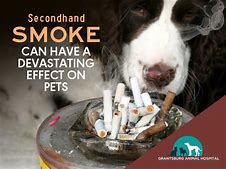 Smokefree_Notts's tweet photo. https://t.co/EGfAiqYUFH