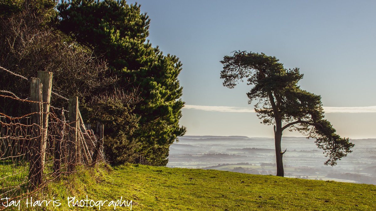 JayHarrisPhoto1's tweet photo. Had a couple of outings locally with the camera this week - overall I was disappointed with the results but managed a couple I like!

#checkyoursettings
#schoolboyerrors #alwaysanotherday https://t.co/IhkxCmuGLV