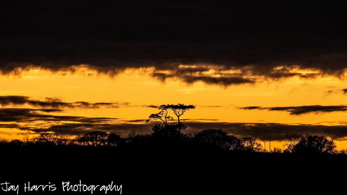 JayHarrisPhoto1's tweet photo. Had a couple of outings locally with the camera this week - overall I was disappointed with the results but managed a couple I like!

#checkyoursettings
#schoolboyerrors #alwaysanotherday https://t.co/IhkxCmuGLV