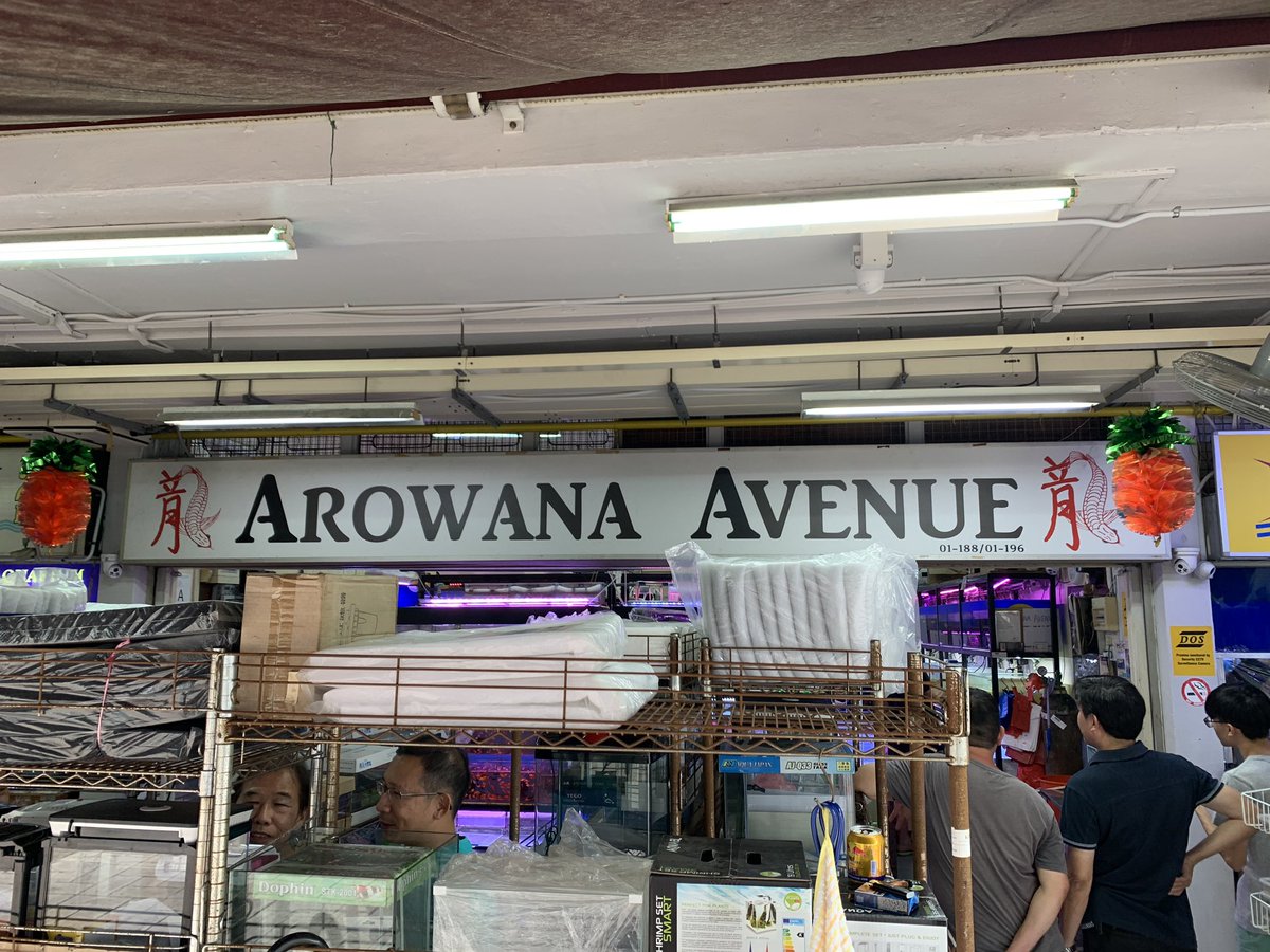 熱帯魚屋 Twitter Search