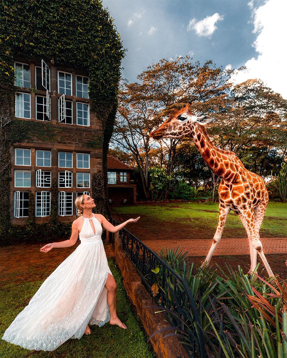 kenyapics's tweet photo. Kenya. Ranked the most Instagram worthy destination in Africa. Photos by https://t.co/ytiqlgV67S https://t.co/g207A4aCrx