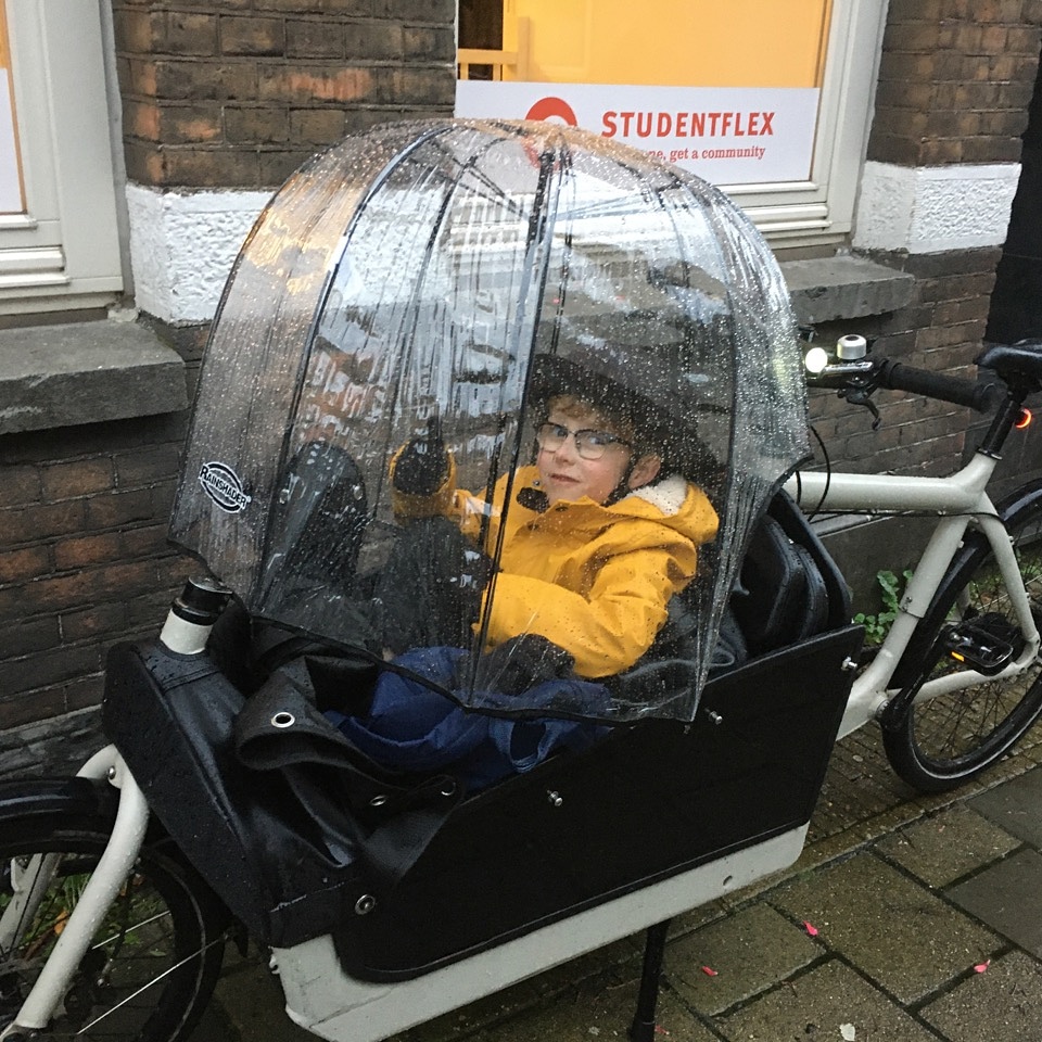 Rainshader Ltd tweet media