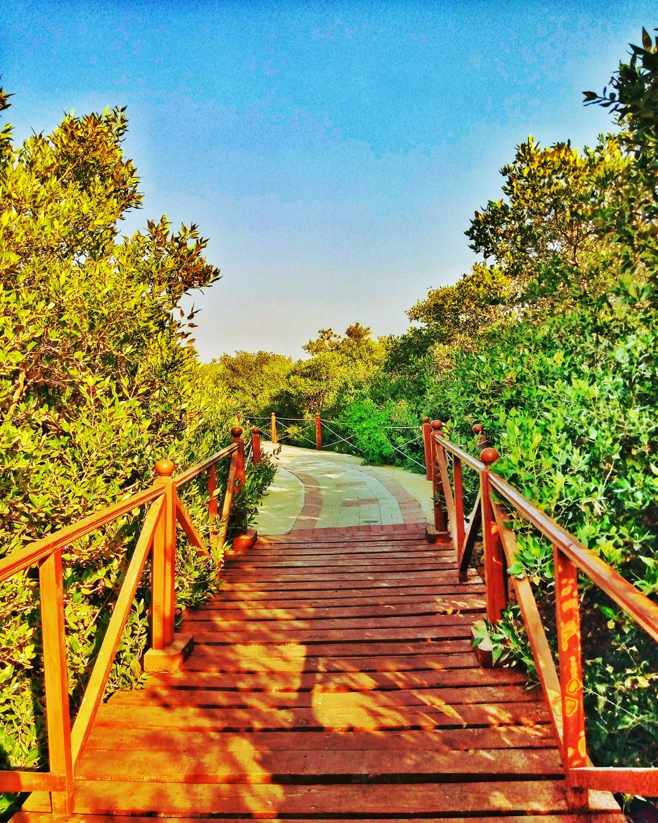 BisMaSooMro3's tweet photo. World Wide Fund for Nature - Pakistan was formed in 1970 to address the growing environmental and conservation issues in Pakistan that not only affected the flora and fauna, but were also affecting the human population..!
Photo by @BisMaSooMro3 #ecofriendly #environmentrights https://t.co/9D2PrDZ43O