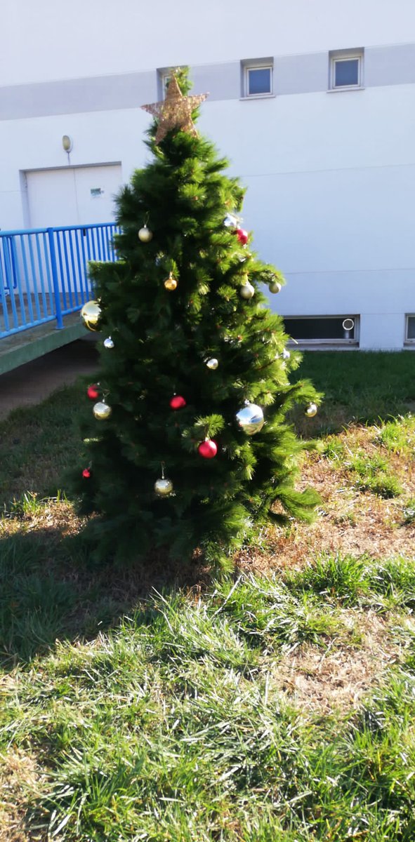 HospitalariasGr's tweet photo. Estos días son idóneos para decorar el hogar con motivos navideños. En RDP  compartiendo el espíritu de la emoción propia de estas fechas han comenzado a engalanar los espacios, ¡mirad que ilusión! #Navidad2019 https://t.co/3EbHykwYgO