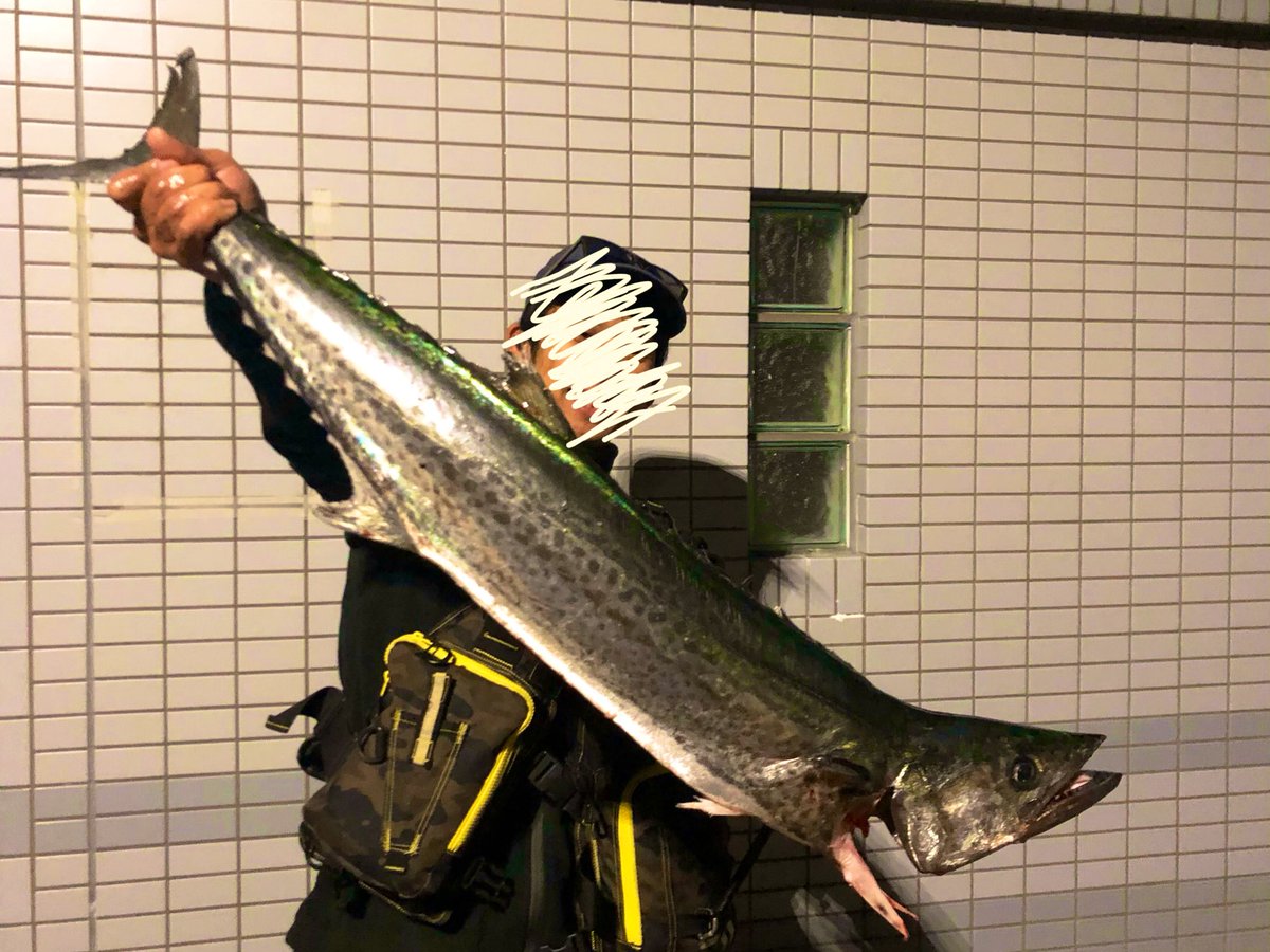 Hiro_fishing67's tweet photo. 人生��サワラ❗️ https://t.co/Y88Jc3TGMo