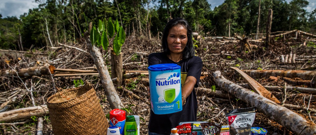 Voor de palmolie in onze dagelijke boodschappen is oerwoud gekapt. Hierdoor warmt de aarde sneller op. Wat vind jij? Zouden producten met zulke ingrediënten duurder moeten zijn dan producten die wel goed zijn voor het klimaat? Vul de enqûete in op bit.ly/palmolie-stell…