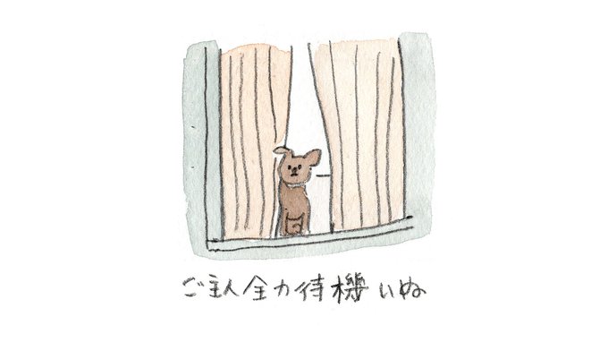 ご主人全力待機いぬ
#みんなのおいぬ 