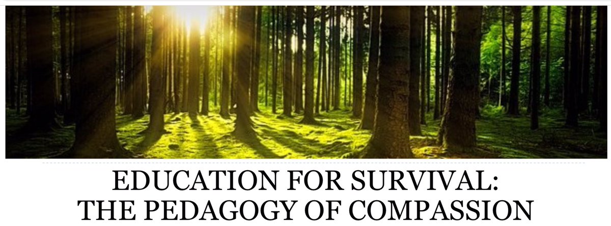 Prof Colin Diamond CBE 🇺🇦🌹🇪🇺🇮🇪 tweet media