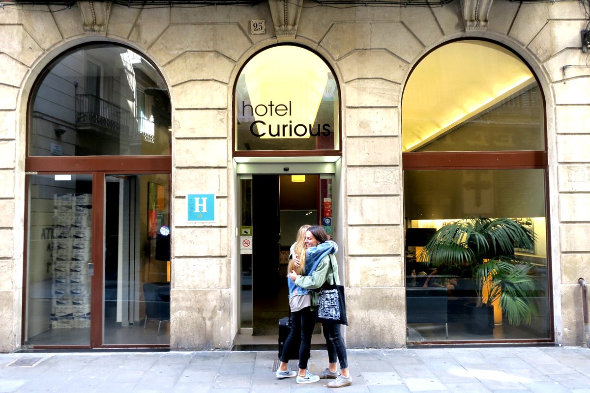Hotel Curious tweet media