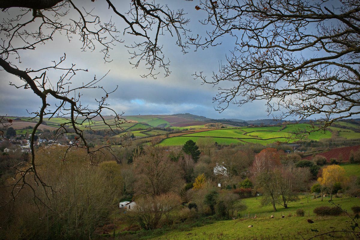 crunchyfabrics's tweet photo. Morning Walk
#landscapephotography #greenfields #devontoday #Dartmoor #landscape #photography #Devon https://t.co/rJ7LM1C8LU