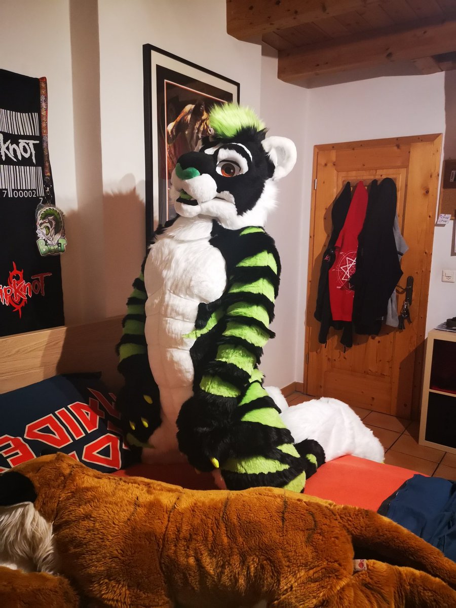 🤘El Furrito🤘🐯Biscit🌯 😎 tweet media