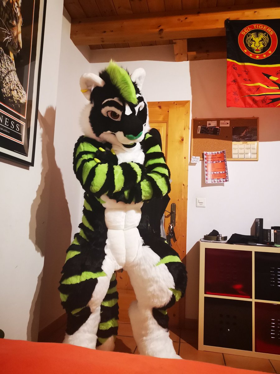 🤘El Furrito🤘🐯Biscit🌯 😎 tweet media