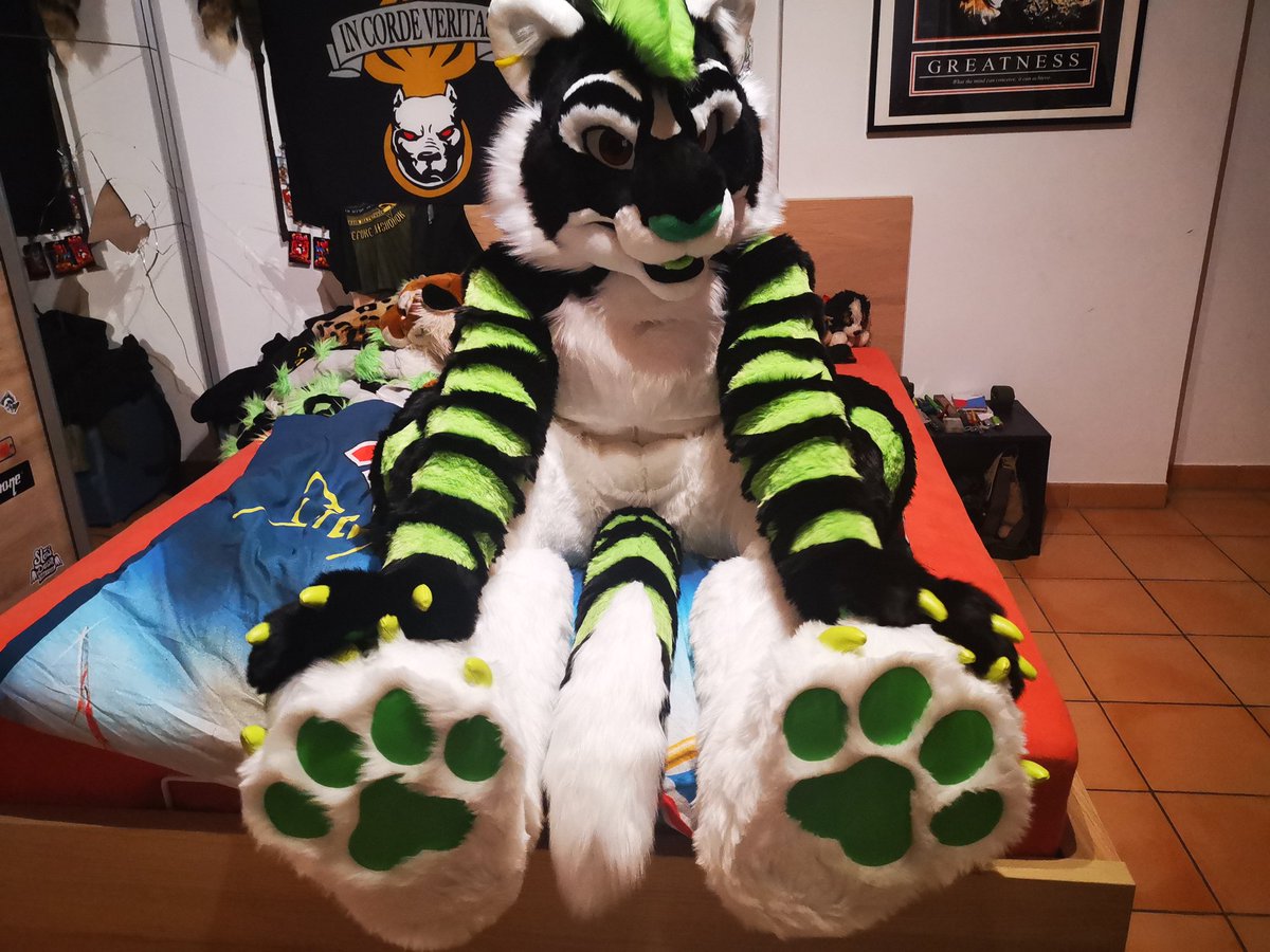 🤘El Furrito🤘🐯Biscit🌯 😎 tweet media