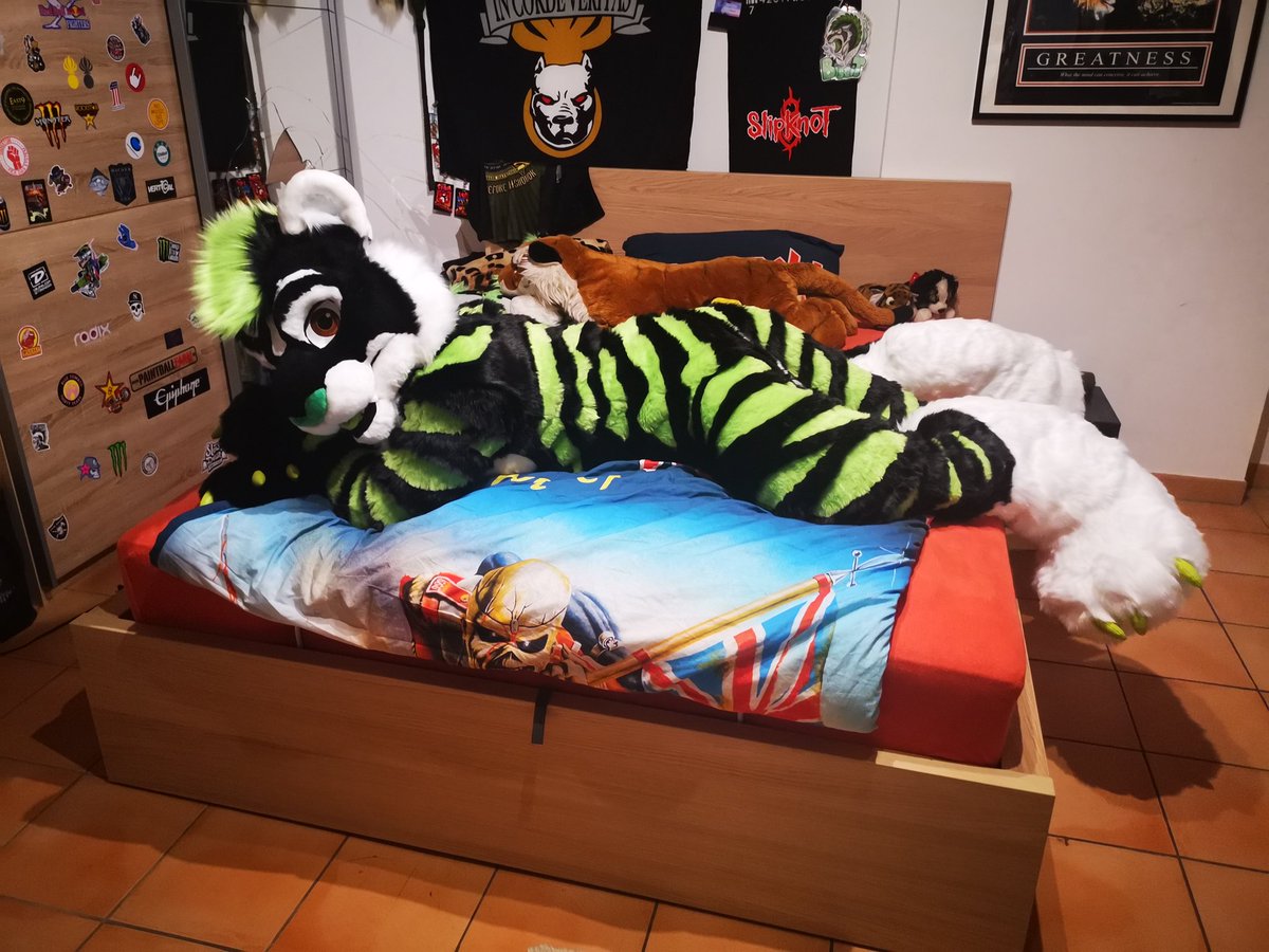 🤘El Furrito🤘🐯Biscit🌯 😎 tweet media