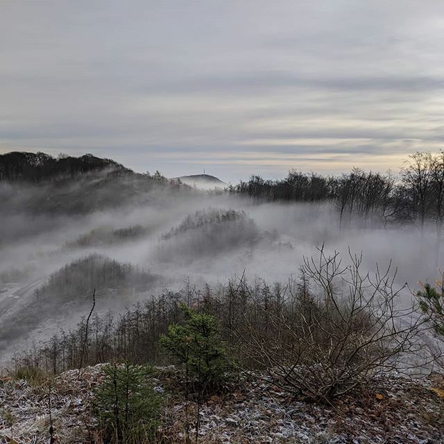 entfliegen's tweet photo. War letzte Woche Sonntag Mal wieder im Wesergebirge laufen und plötzlich läuft mir dieses Motiv über den Weg - brauchte nur abdrücken 🤪 #nebel #wesergebirge https://t.co/DJRHG2RSgX https://t.co/shyYlUOBy3