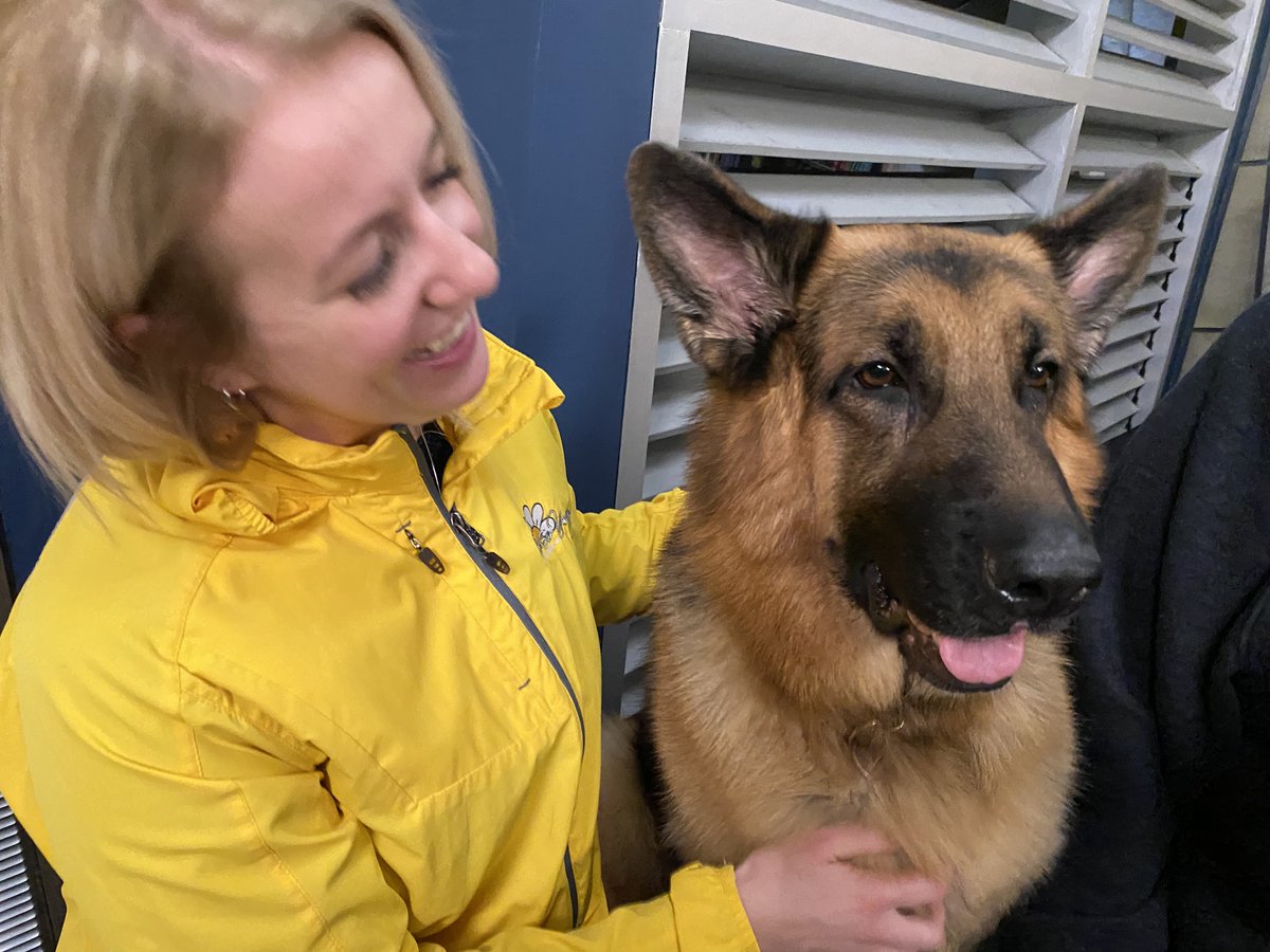 After 8:30, we go to the set of Hudson&amp;Rex on <a href="/CBCWam/">CBCNL's Weekend AM</a> to find out about a special fundraiser for senior animals today. Get your picture taken with Rex at PetValu on Kelsey Dr. from 10am to 1pm.
cbc.ca/1.5386572