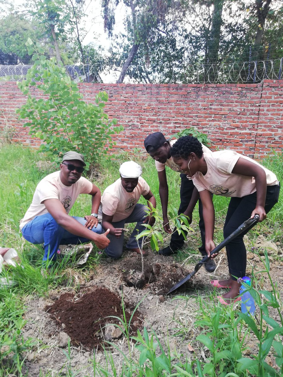 mitimasango's tweet image. @ZimTreeTrust  thank you for a good day at @BallantynePark MitiMasango we left our contribution there. We will visit time to time checking on our part of the masango