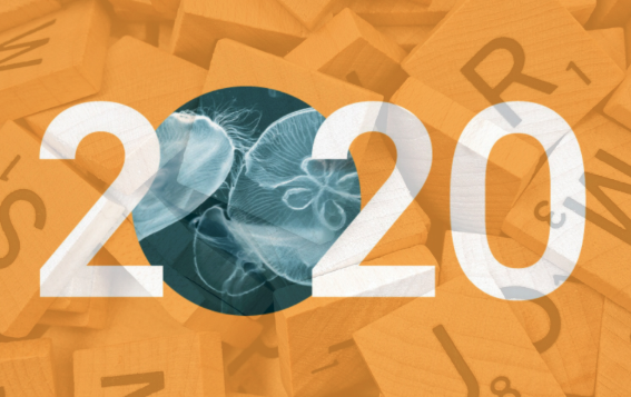 Yolds, Cwtch, Eco-Elegance &amp; Co.: Die Zukunftswörter des Jahres im Voting von <a href="/zi_news/">Zukunftsinstitut</a>! zukunftsinstitut.de/artikel/zukunf…