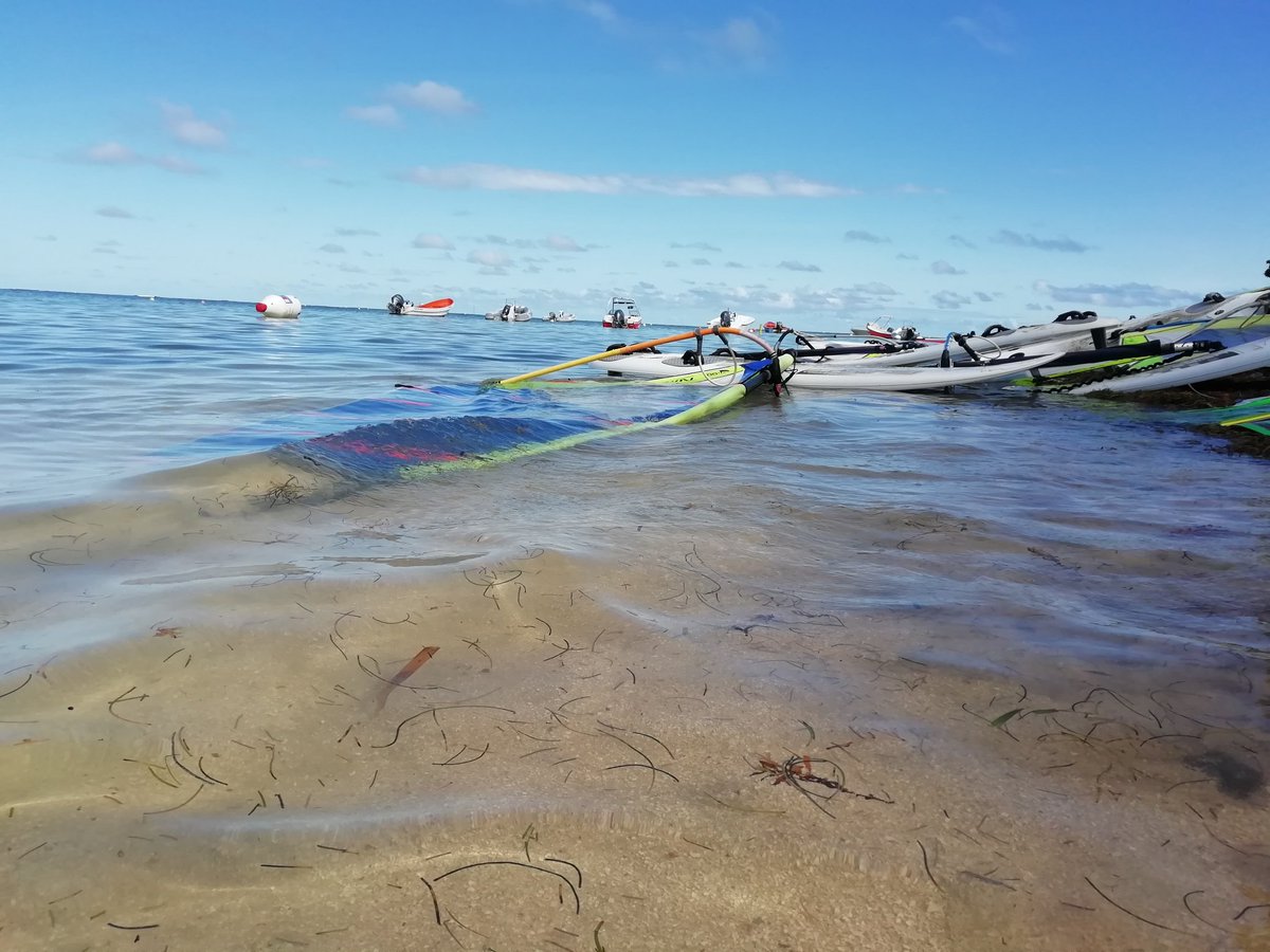 ClubCnv's tweet photo. La saison commence. Des #alizés, du #soleil, pas de #sargasses. Welcome to #martinique
#kitesurfmartinique
#windsurfmartinique
#kitesurf #windsurf #windfoil https://t.co/xmoSSfnGeX