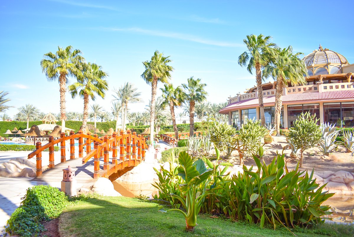 ParrotelAqua's tweet photo. A Magnificent Afternoon View, Come And Join Us 😍😍
#ParrotelAquaParkResort
#ItsAllAboutYou
https://t.co/ytbaAkkpFL https://t.co/o3kHpWP6Mj