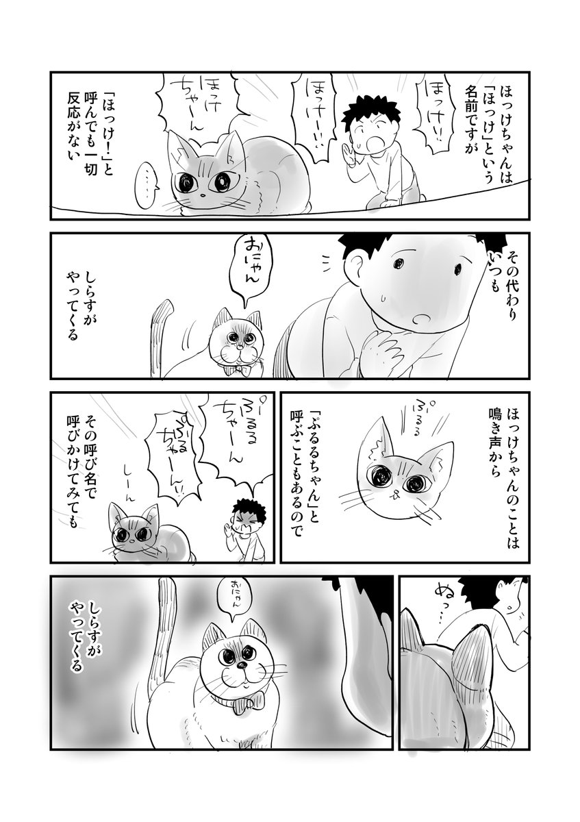 猫を飼った人しかわからない漫画 