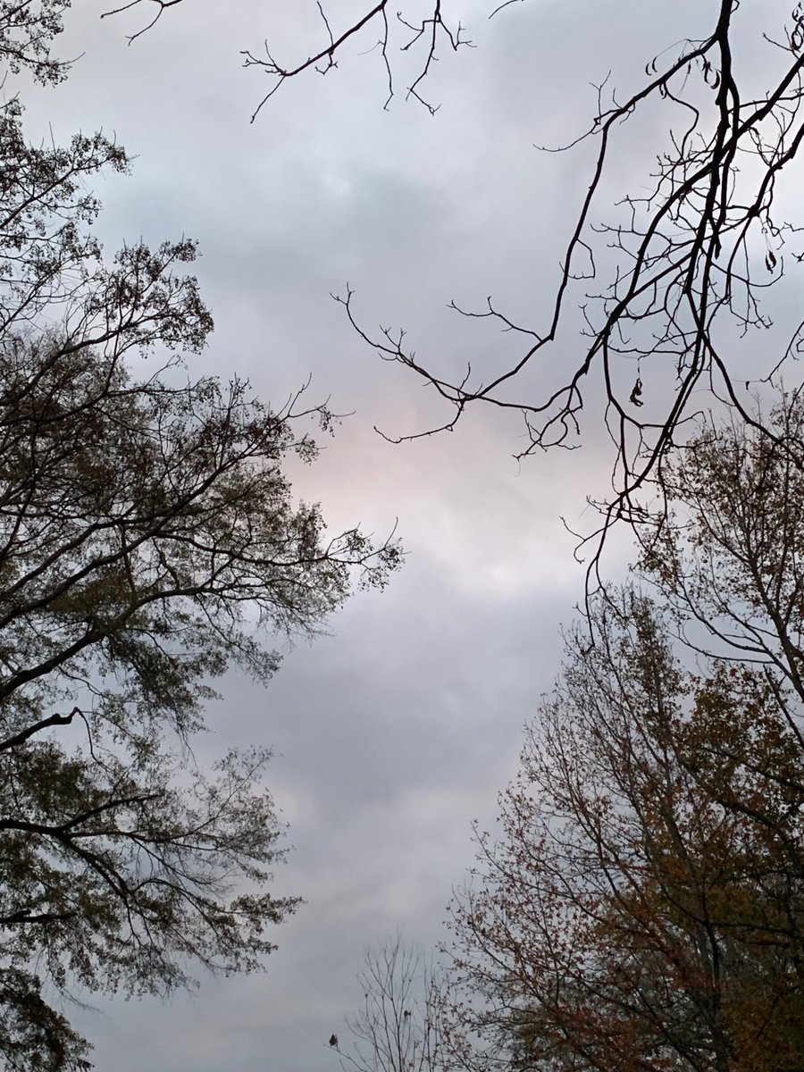 sokamoto's tweet photo. Good morning, Columbus! #ColumbusGA #mydailyphoto #12/07/2019 #2019project #upearly #completelycloudy #nosignofsun #cool&damp #nobreeze #birdswakingup #neighborsdogsquiet https://t.co/xsbvZy2VR0