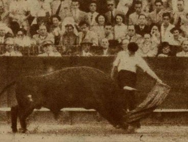 Sevilla. Año 1950.
El espontáneo.
Toro de Marqués de Albaserrada.
Foto: El Ruedo.