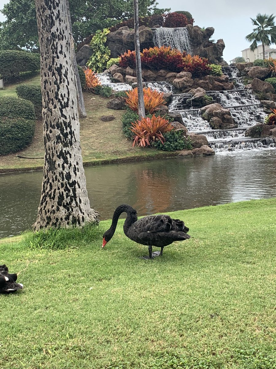 aprildb74's tweet photo. Been trying to get a good pic of one of these guys for almost three years! #Finally https://t.co/ybz6wQjf2k