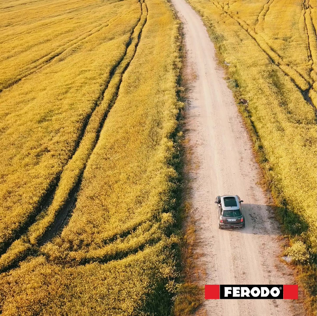 Don't STOP that feeling, summer has arrived!