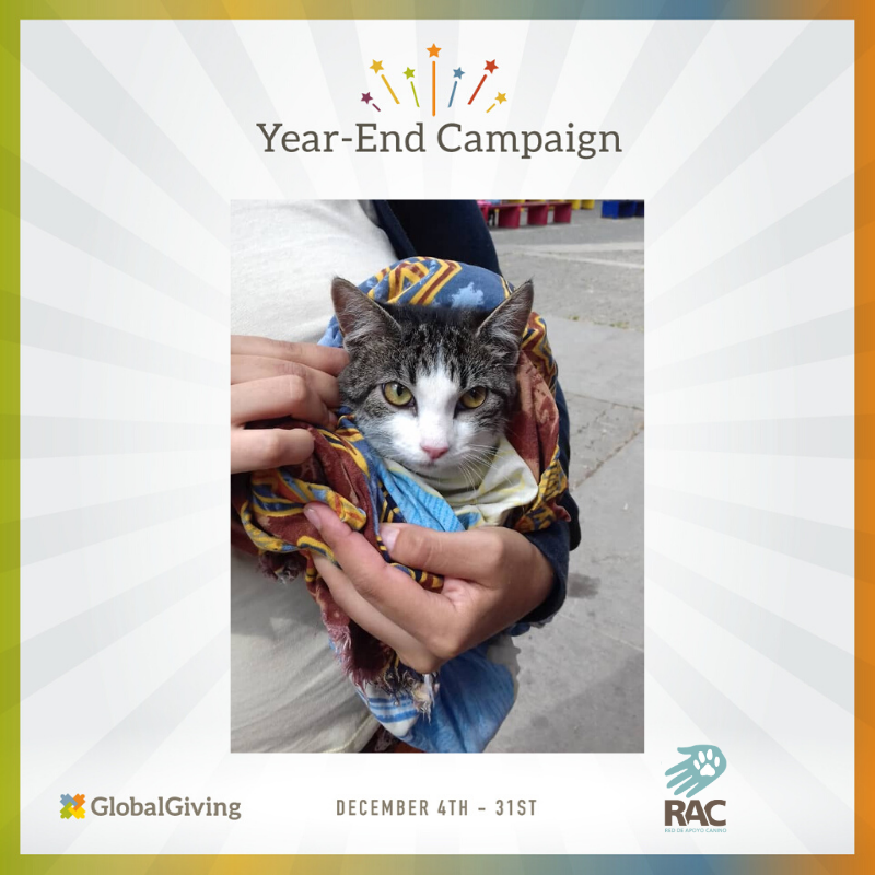 If you wish to make a difference then you have it all to make it happen. Start by changing the life of an abandoned animal in #Venezuela ow.ly/jeoQ30pYOFe