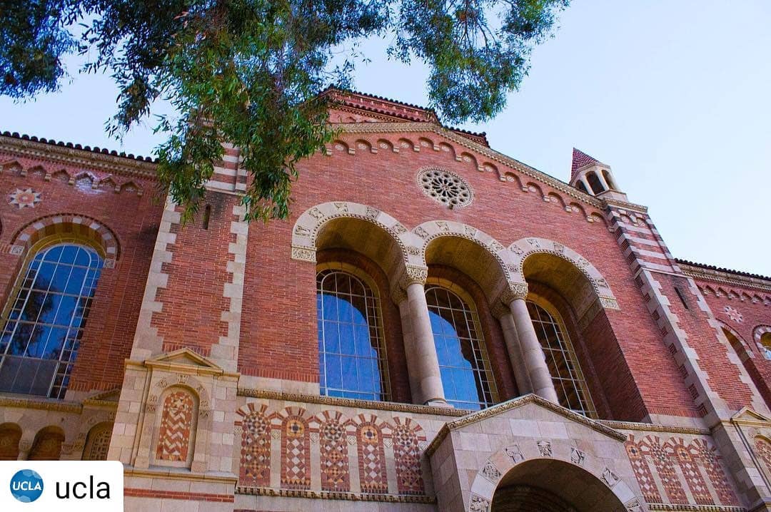 StudentsotWorld's tweet photo. Fun fact: @ucla_powell_library has about 3.5 million visitors each year 👫📚 📷: @krista_emily78 https://t.co/OAhUkBBIur