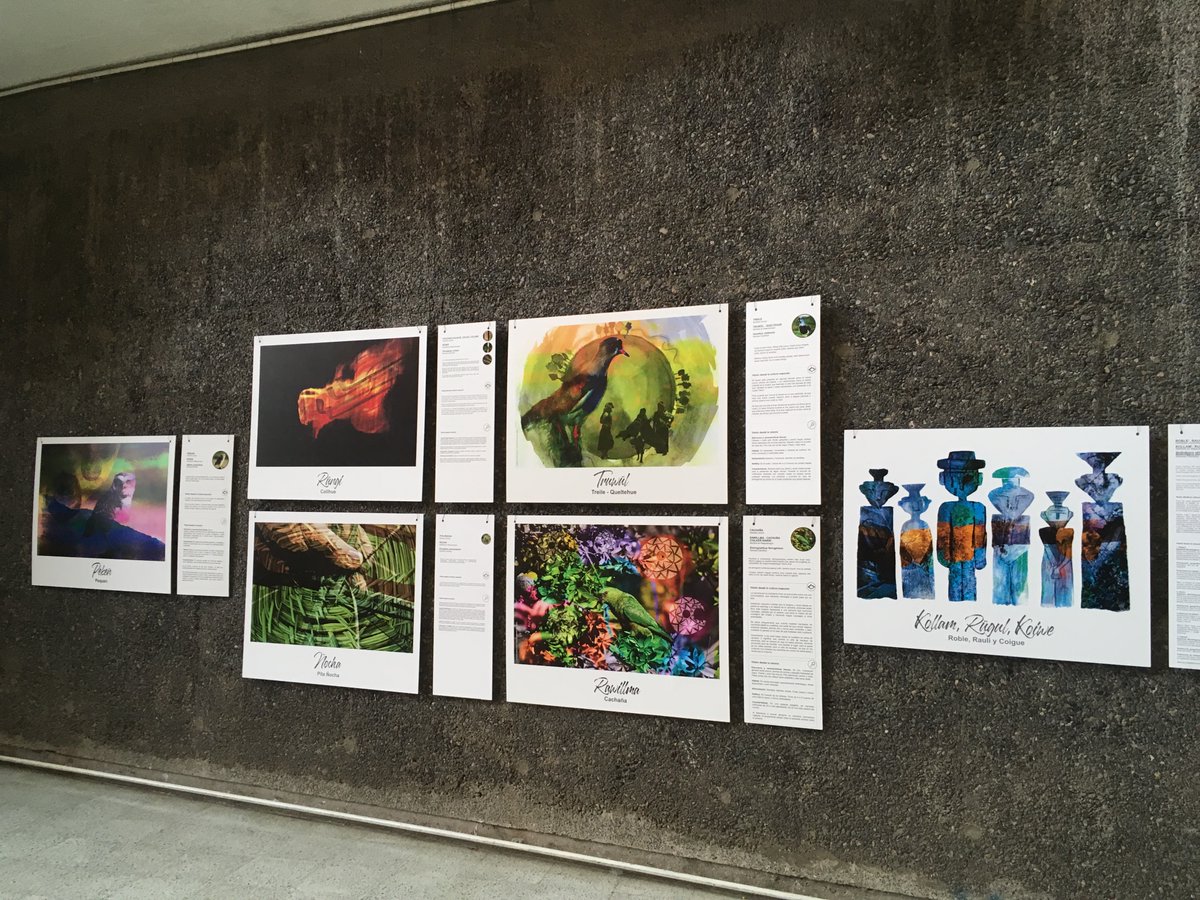 crespial's tweet photo. CHILE - Docentes desarrollan innovador proyecto para enseñar la cosmovisión mapuche a través de las artes y ciencias https://t.co/Kd8vo7o1i7 @patrimoniocl #CulturaMapuche #PueblosIndigenas #PCI #PatrimonioInmaterial https://t.co/MIHDjKxbEX