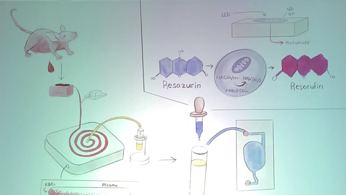 rjdoerksen's tweet photo. A great final end to the Council of Graduate Schools National Meeting was the 3 Minute Thesis #3MT competition with 10 regional winners from across USA and Canada. #CGS59 @UnivMSGraduate Mustafa Al-Adhami UMBC People’s Choice Award Winner https://t.co/yPTlOGPmlH