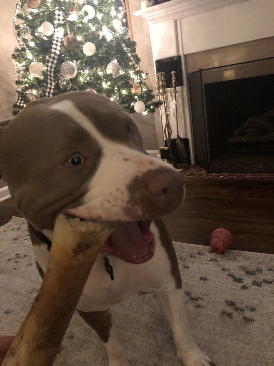 SouthwardBlake's tweet photo. @SouthwardBritt Wally is pretty easy https://t.co/0ewHgxzIuS