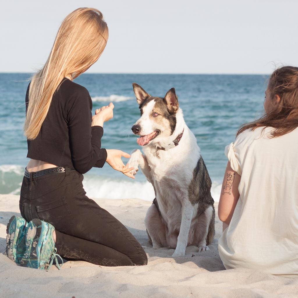 Banfield's tweet photo. When you need a hand, they’ll lend you a paw 🐕
#banfieldhere
#DogsOfBanfield
#bdog
#bfriendly
#bhere https://t.co/2M2Xs5gdg3