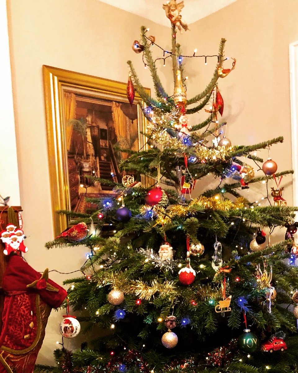 susanmaxwell777's tweet image. Finally ...
#christmashasbegun #treedecor #happy 🎄