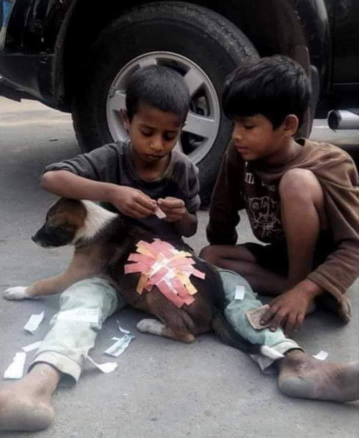 ahteshamatiq's tweet photo. سِکھایا جاسکے تو محبت کرنا سِکھادو، 
 محبت، اظہارِ محبت کی زبان خود سِکھادے گی 
جون ❤ https://t.co/TUvugxGFD8