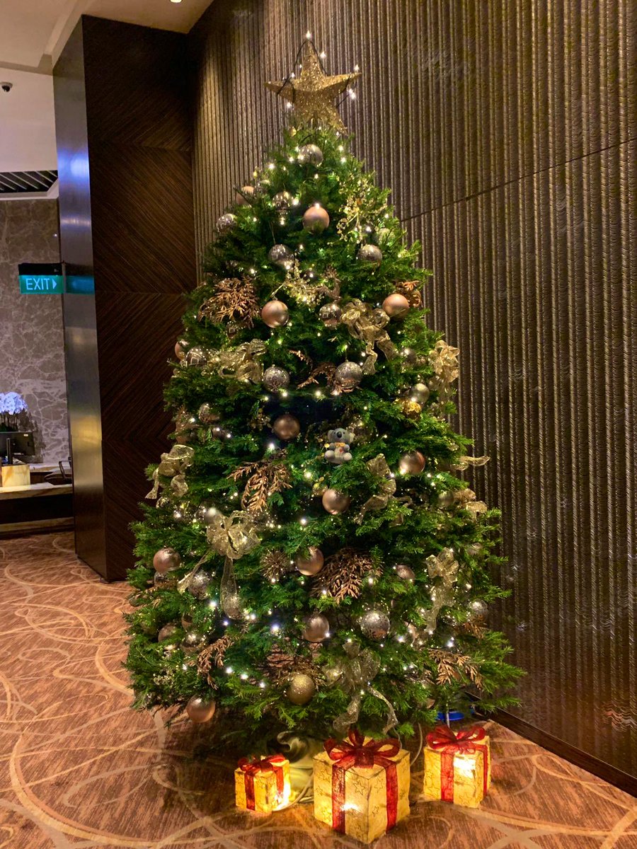 tony_the_koala's tweet photo. Letโs play a game of spot the Tony ๐จ๐ #weekendvibes #festiveseason #XmasIsCalling #ohchristmastreeohchristmastreewhereforartthouTony #thistreetastesfunny https://t.co/pLFT99RN36