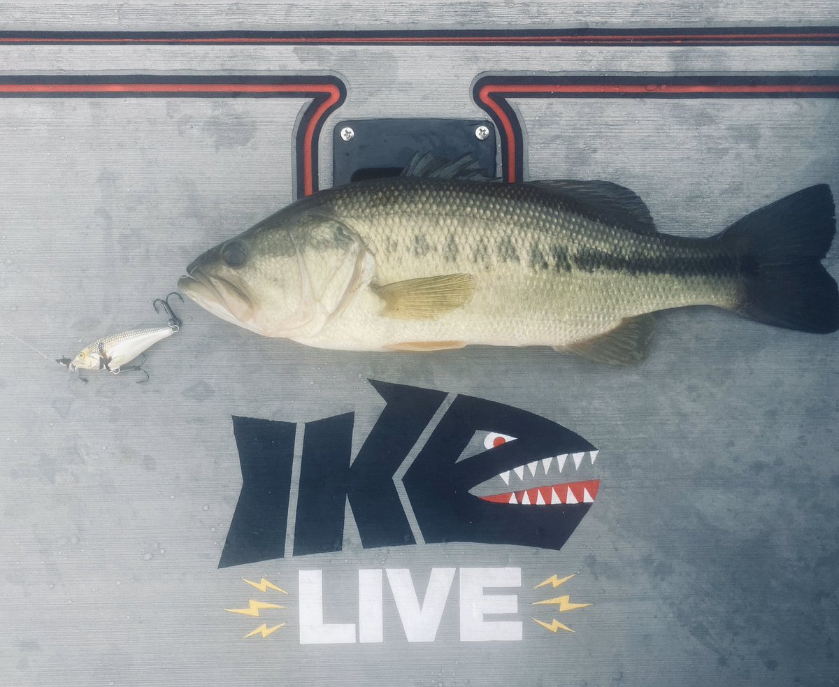 mike_Iaconelli's tweet photo. Hope everyone is having a FISHY Saturday! I know we are! By the way, tune into a new Ike Live show tomorrow night 7 PM ET! #fishysaturday #ikelive @ikeliveshow https://t.co/JhdIVzvqAh