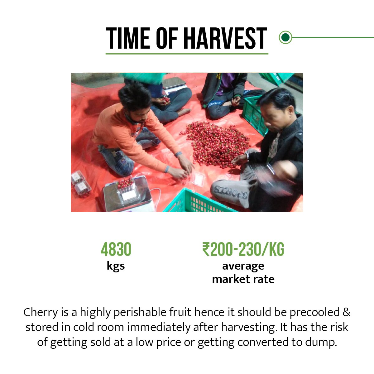 EcozenSolutions's tweet photo. #EcozenCaseStudy
Know how @bigbasket_com kept its Cherry Produce fresh and sent it to far away places like #Delhi, #Bangalore, #Chennai, #Kolkata and #Chandigarh with Ecofrost Solar Cold Room 🍒 https://t.co/5IwnhZk1IR