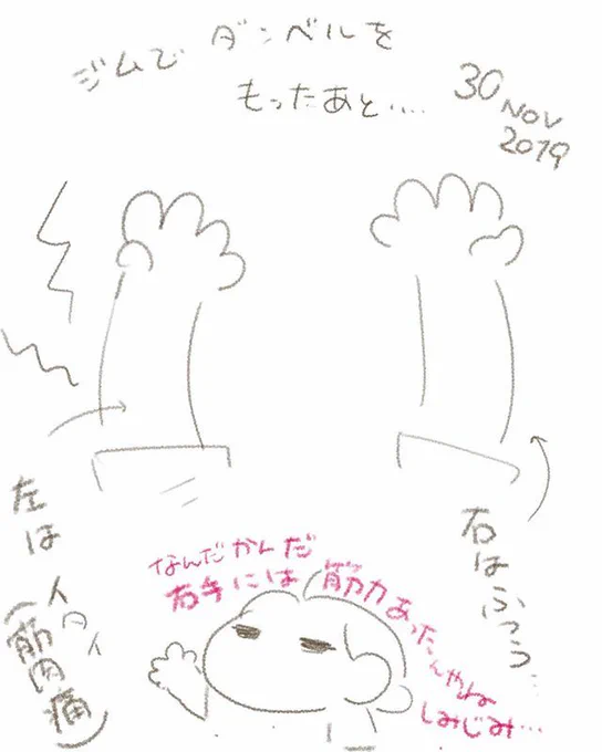 このほど、右手と左手の筋肉痛に違いがある事を発見しました。
普段お絵かきしかしてないけど、それでも利き手とそうでない手に筋力の差があるんやねぇ〜。
#さとえみ日記  