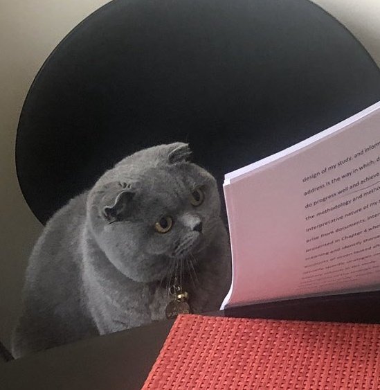 ESEVENTS tweet media