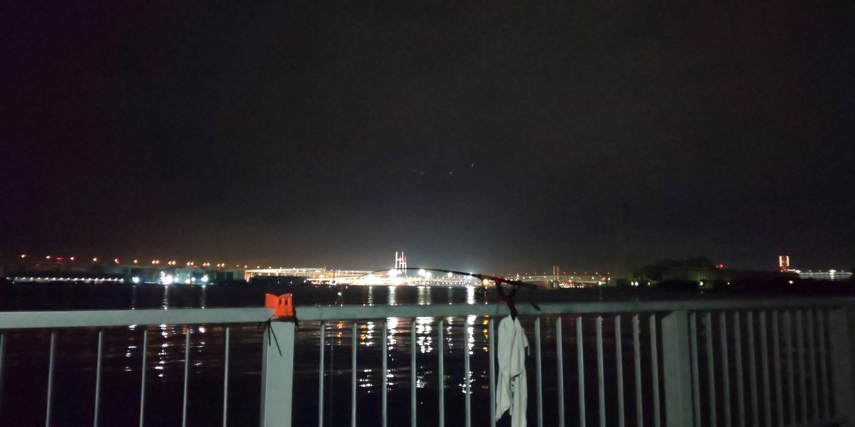 サメが足下まで寄ってきた🙄
今日は全く釣れません☹️