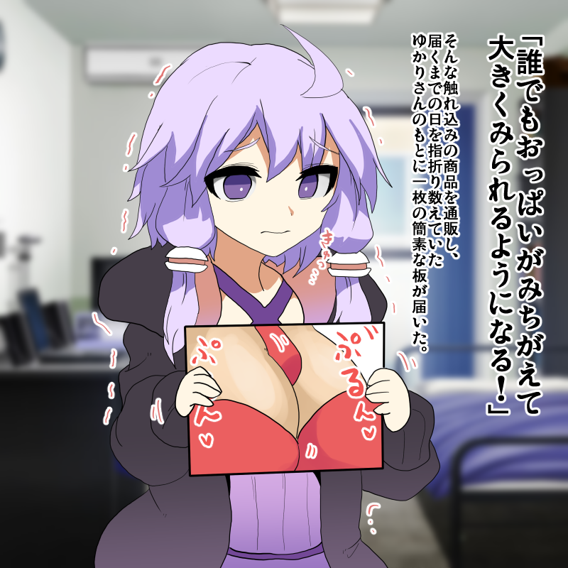 ボイスロイド
夢のようなグッズを楽しみにしていた結月ゆかりさん 