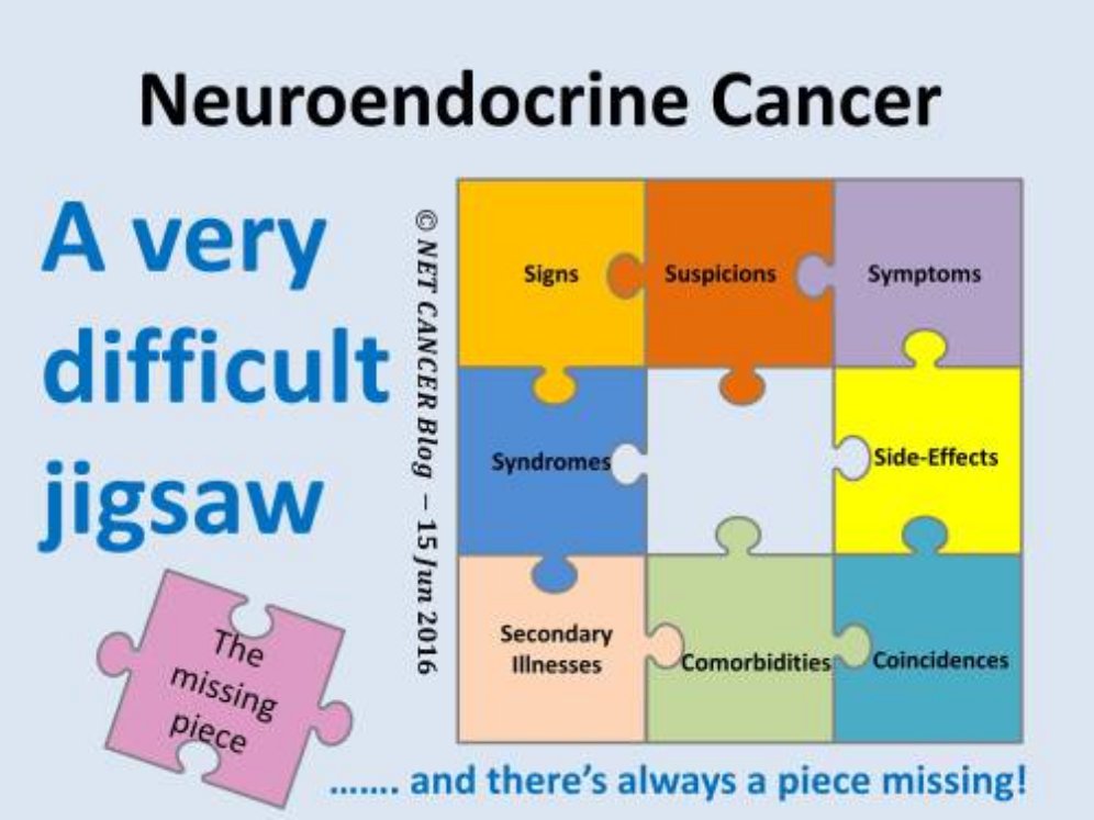 RonnyAllan1's tweet photo. Living with #NeuroendocrineCancer – 8 tips for conquering fear @NETCancerBlog https://t.co/YauJQA0Z49 https://t.co/vxOEP1W2cD