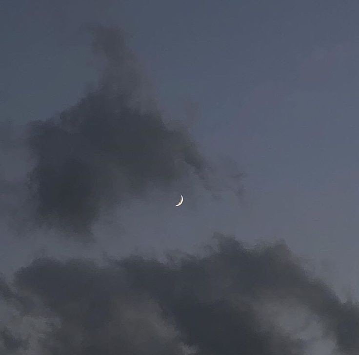 Moon🌙 tweet media