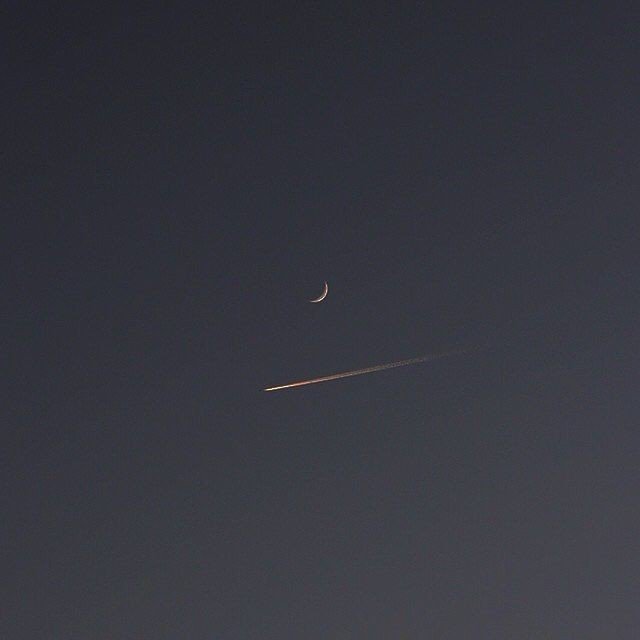 Moon🌙 tweet media