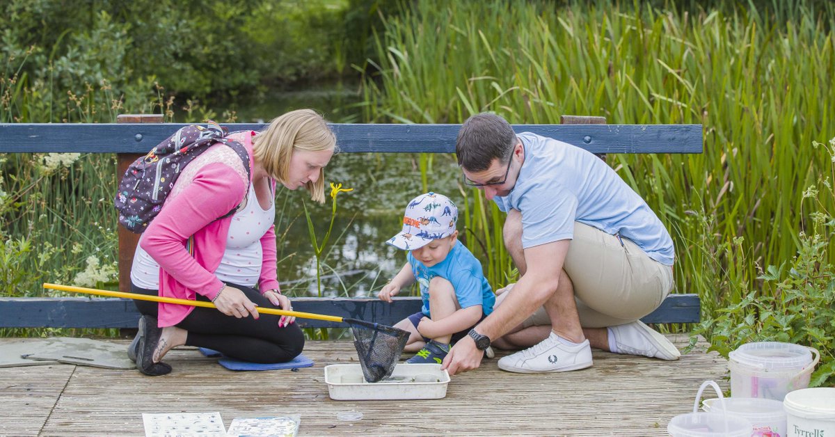 TheParksTrust's tweet image. Next year we have a whole host of exciting events planned for you, sign up to receive our What’s on guide to find out more. #mkevents #mk2020 #events2020 theparkstrust.com/get-involved/2…